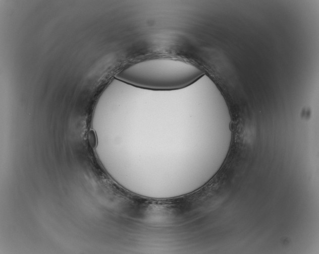 X0000113170560200909251420