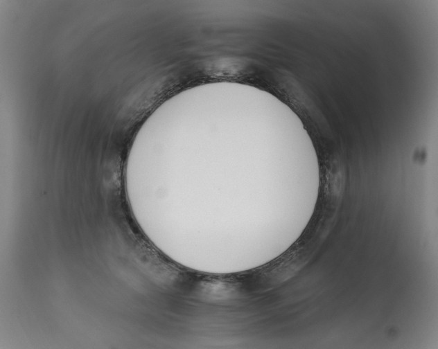 X0000113170561200909251420