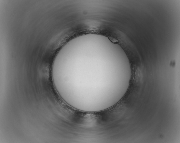 X0000113170562200909251420