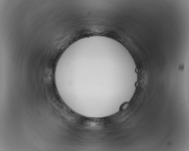 X0000113170563200909251420