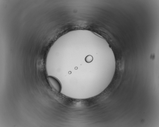 X0000113170564200909251420