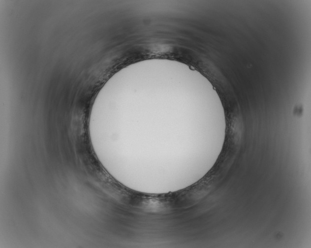 X0000113170565200909251420