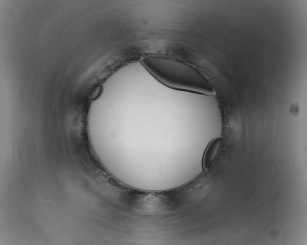 X0000113170566200909251420