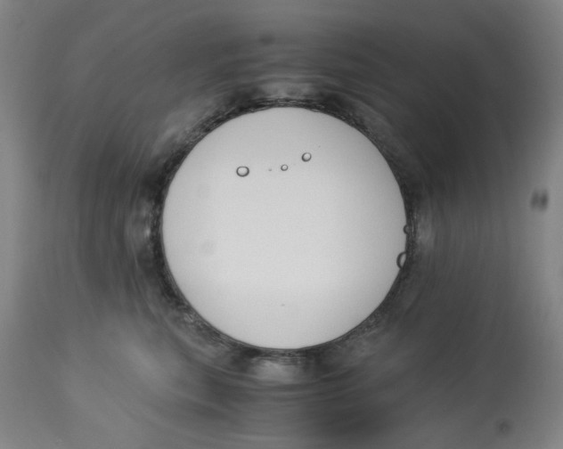 X0000113170567200909251420