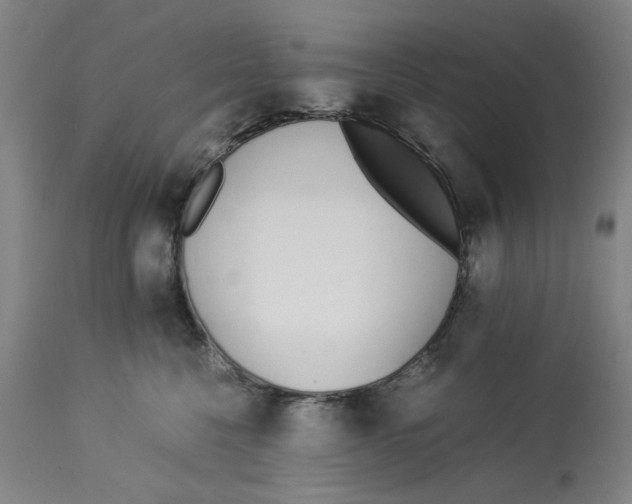 X0000113170568200909251420