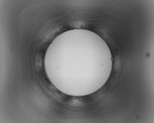 X0000113170569200909251420