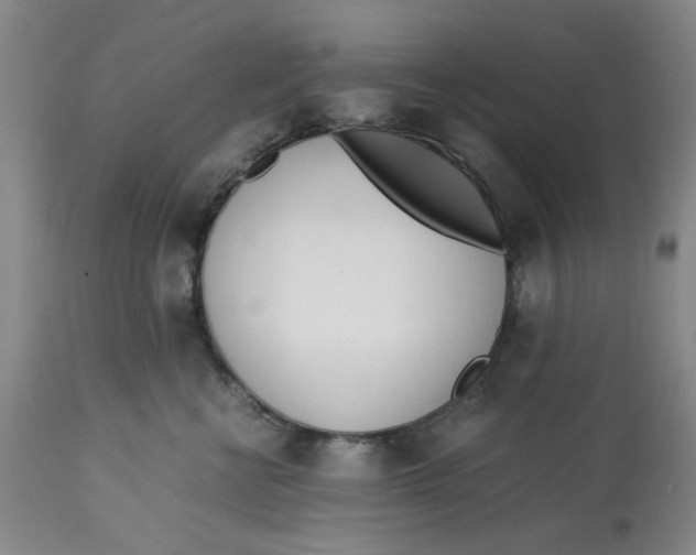 X0000113170570200909251420