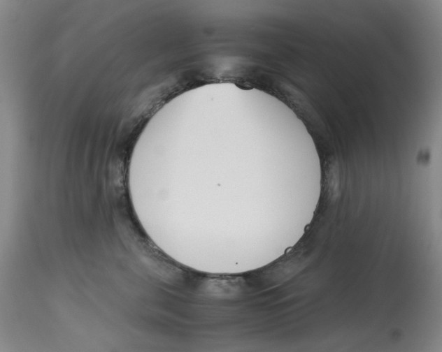 X0000113170571200909251420