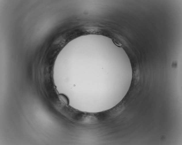 X0000113170572200909251420