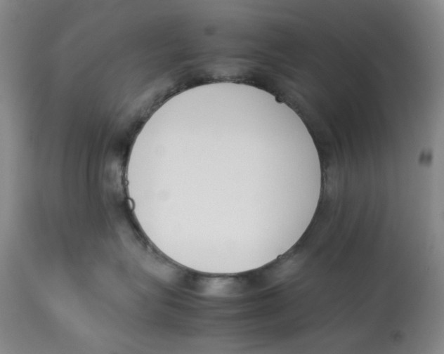 X0000113170575200909251420