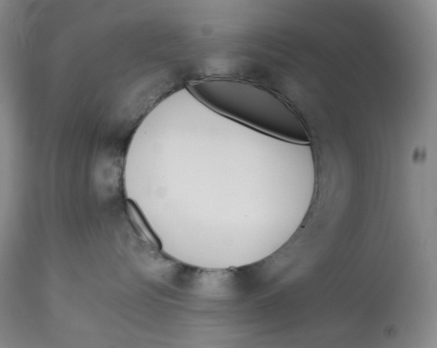 X0000113170576200909251420