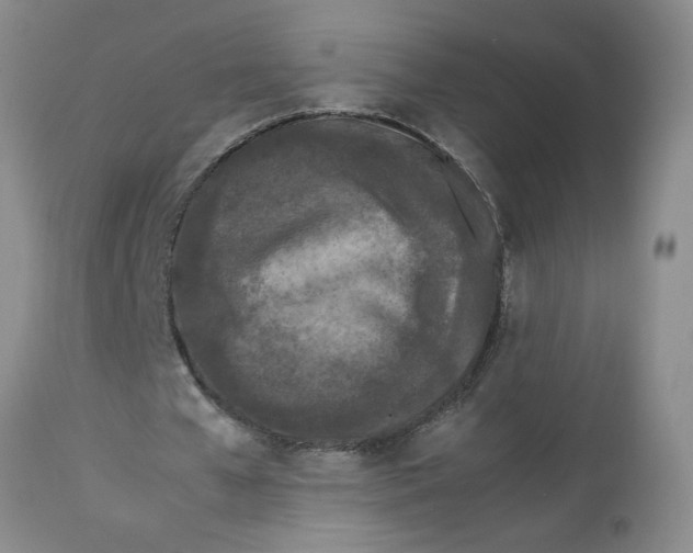 X0000113170577200909251419