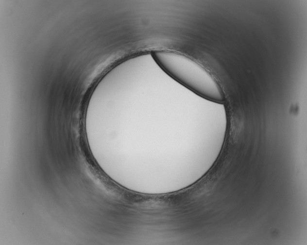 X0000113170578200909251419