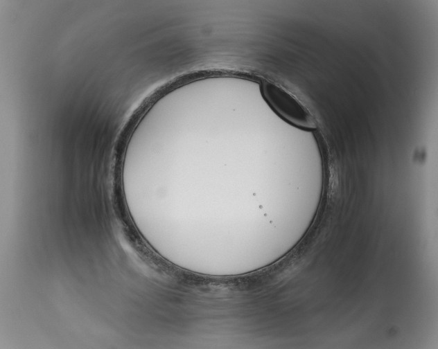 X0000113170580200909251419