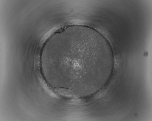 X0000113170581200909251419