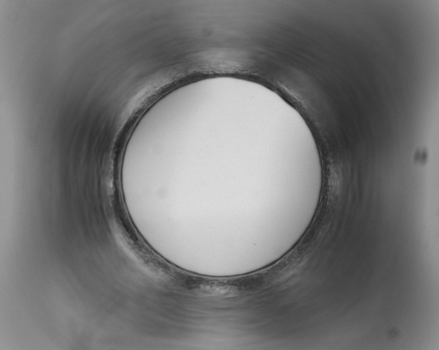 X0000113170582200909251419