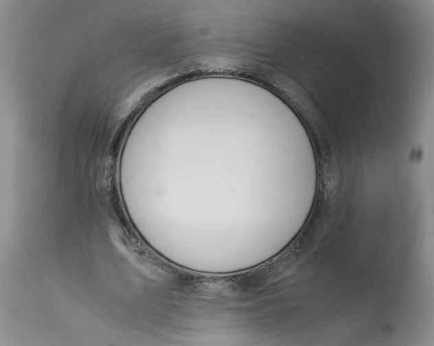 X0000113170583200909251419