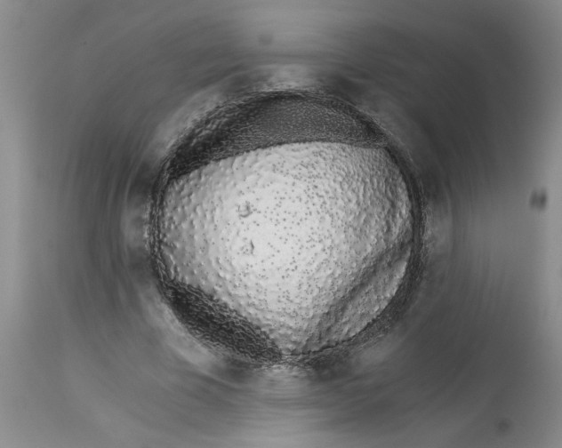 X0000113170585200909251419