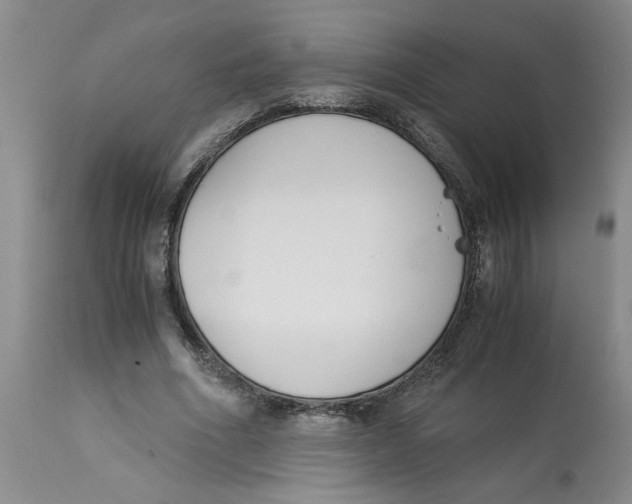 X0000113170586200909251419