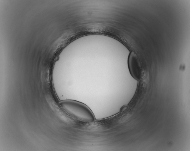 X0000113170589200909251419