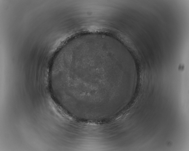 X0000113170592200909251419