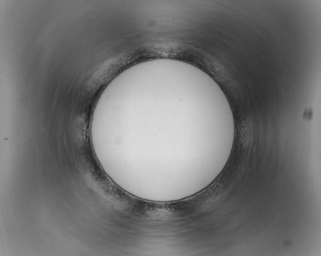 X0000113170594200909251419