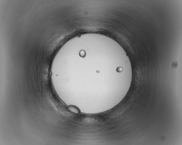 X0000113170596200909251419