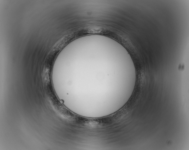 X0000113170598200909251419