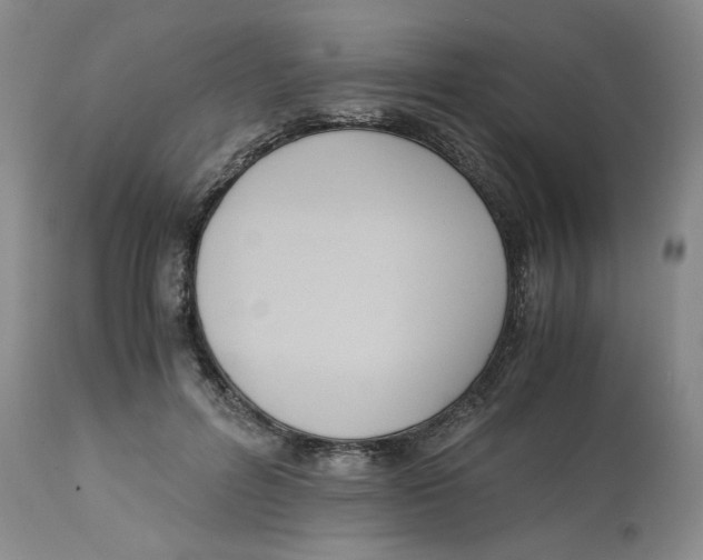 X0000113170600200909251419