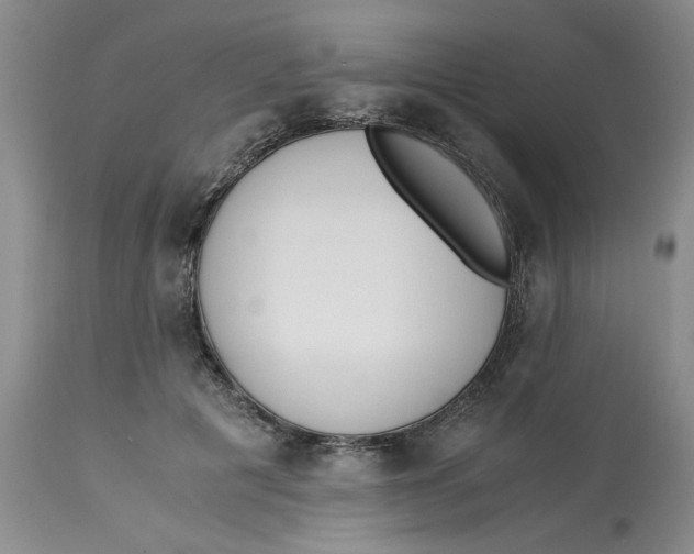 X0000113170601200909251419