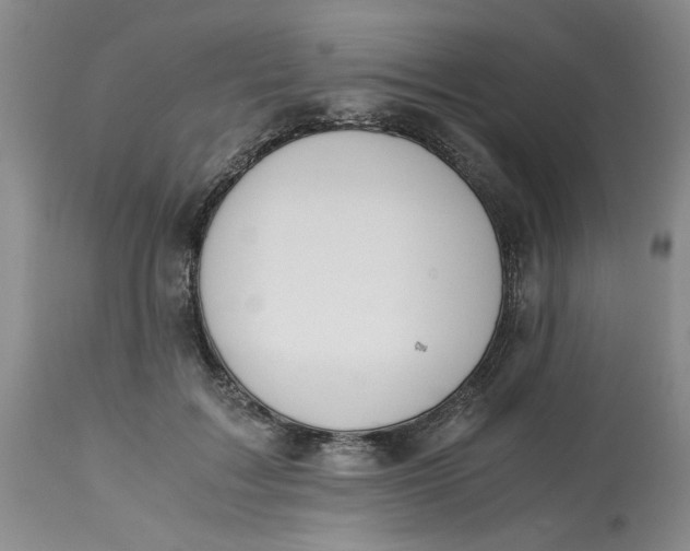 X0000113170603200909251419