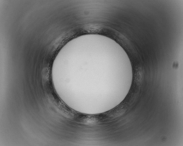 X0000113170604200909251419