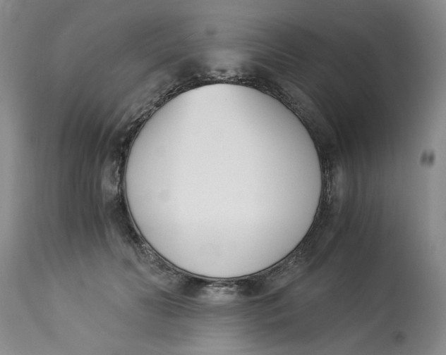 X0000113170606200909251419