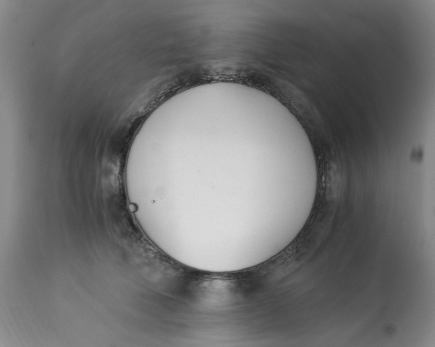 X0000113170610200909251419