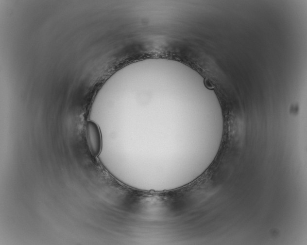 X0000113170611200909251419