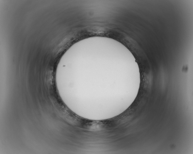 X0000113170612200909251419