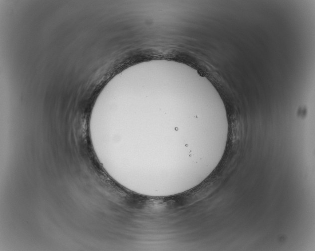 X0000113170613200909251419