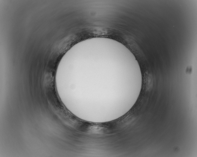 X0000113170614200909251419