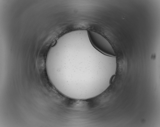 X0000113170617200909251419