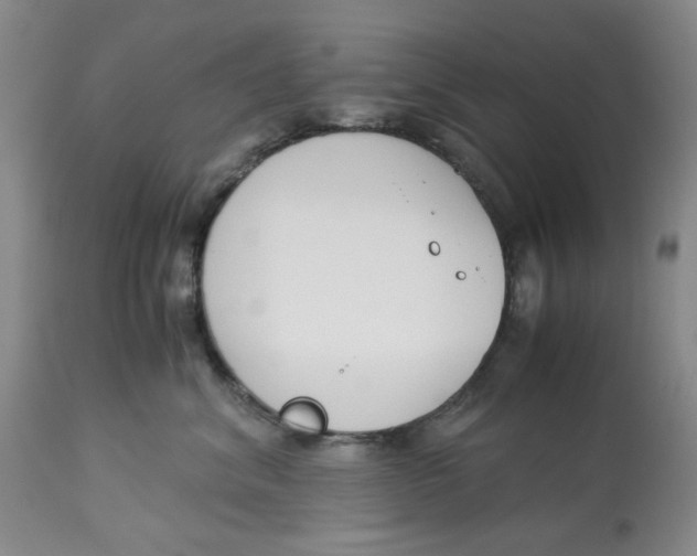 X0000113170620200909251419