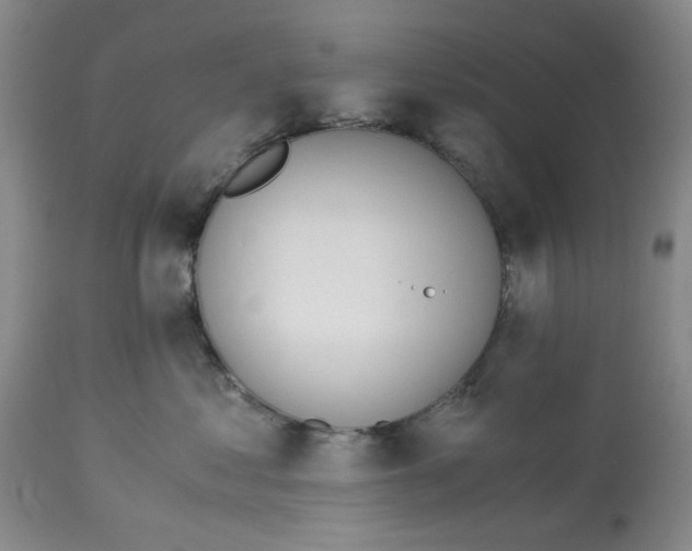 X0000113170621200909251419