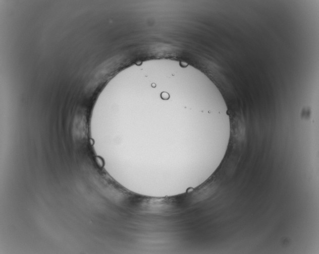 X0000113170622200909251419