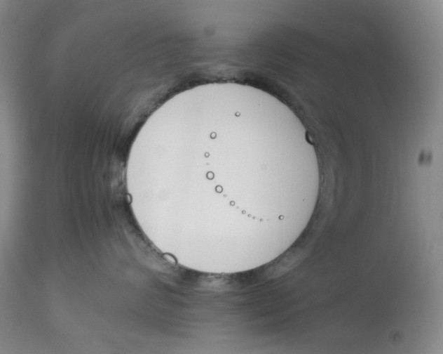 X0000113170624200909251419