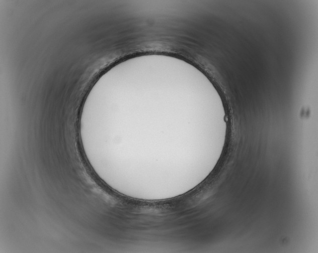 X0000113170625200909251418