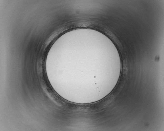 X0000113170626200909251418