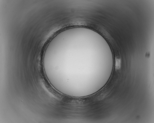 X0000113170627200909251418