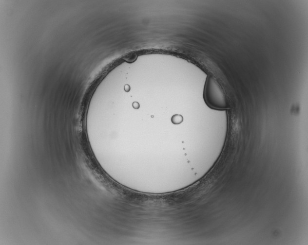 X0000113170628200909251418