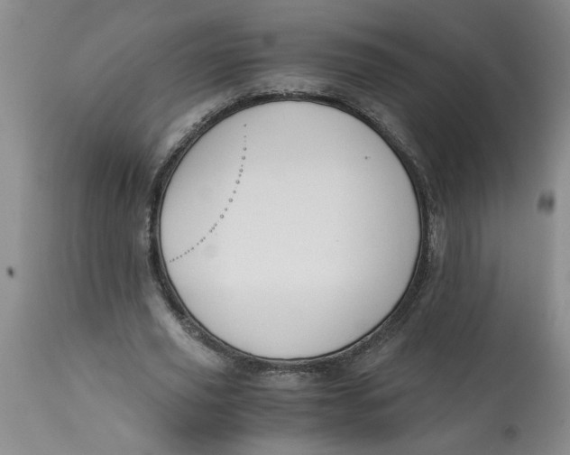 X0000113170629200909251418