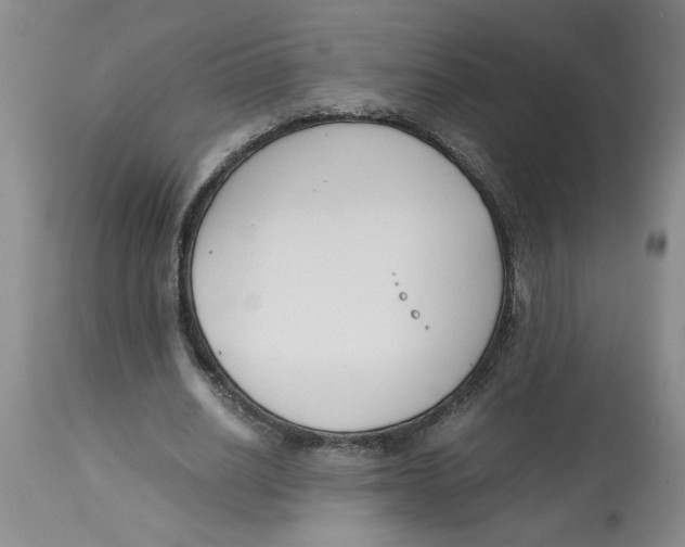 X0000113170630200909251418