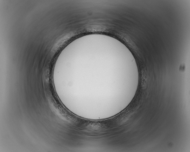 X0000113170631200909251418